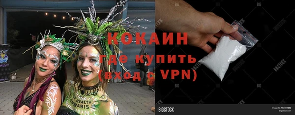 индика Бугульма