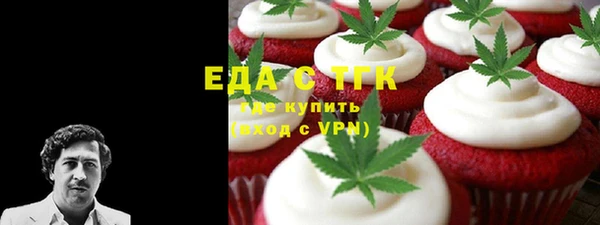 индика Бугульма