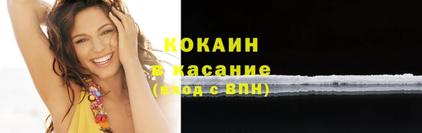 индика Бугульма